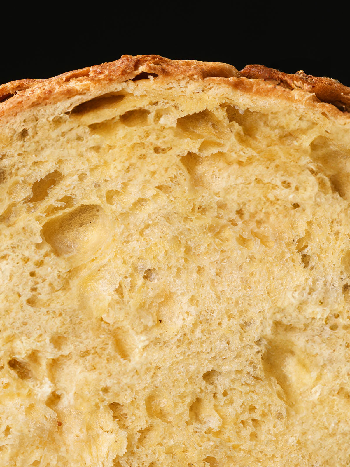 pandorato - immagine 4